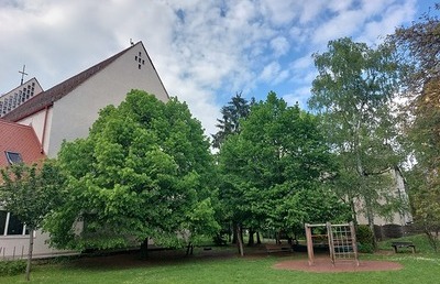 Der Himmel geht über allen auf: daran glauben wir, darauf hoffen wir und alle sind eingeladen zum Fest des Glaubens!